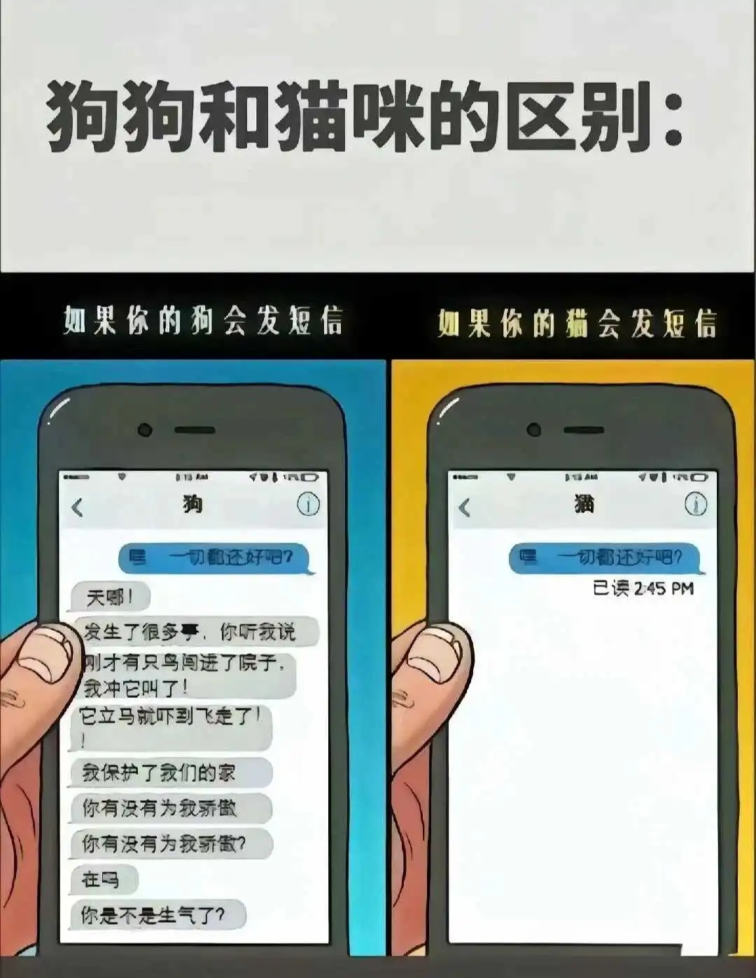【西檬之家】DS关系详解：字母圈新人如何理解支配与臣服