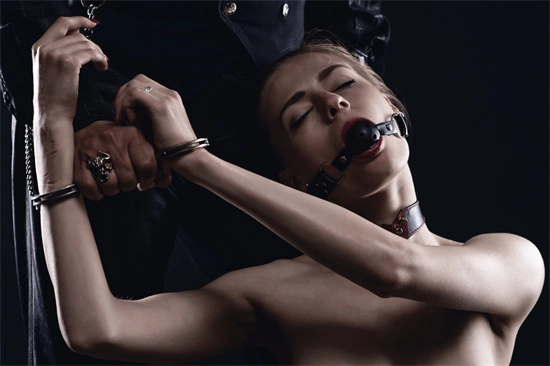 西檬之家-字母圈中文指南：BDSM基础知识与安全交流