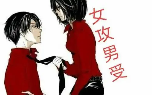 西檬之家-字母圈的k8是什么？探索猫系角色扮演的深层含义