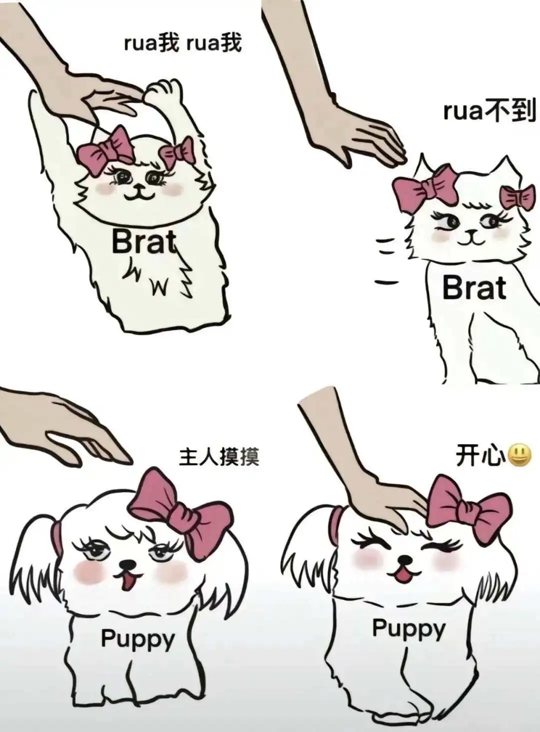 【西檬之家】K8是什么意思？字母圈宠物扮演与角色解析