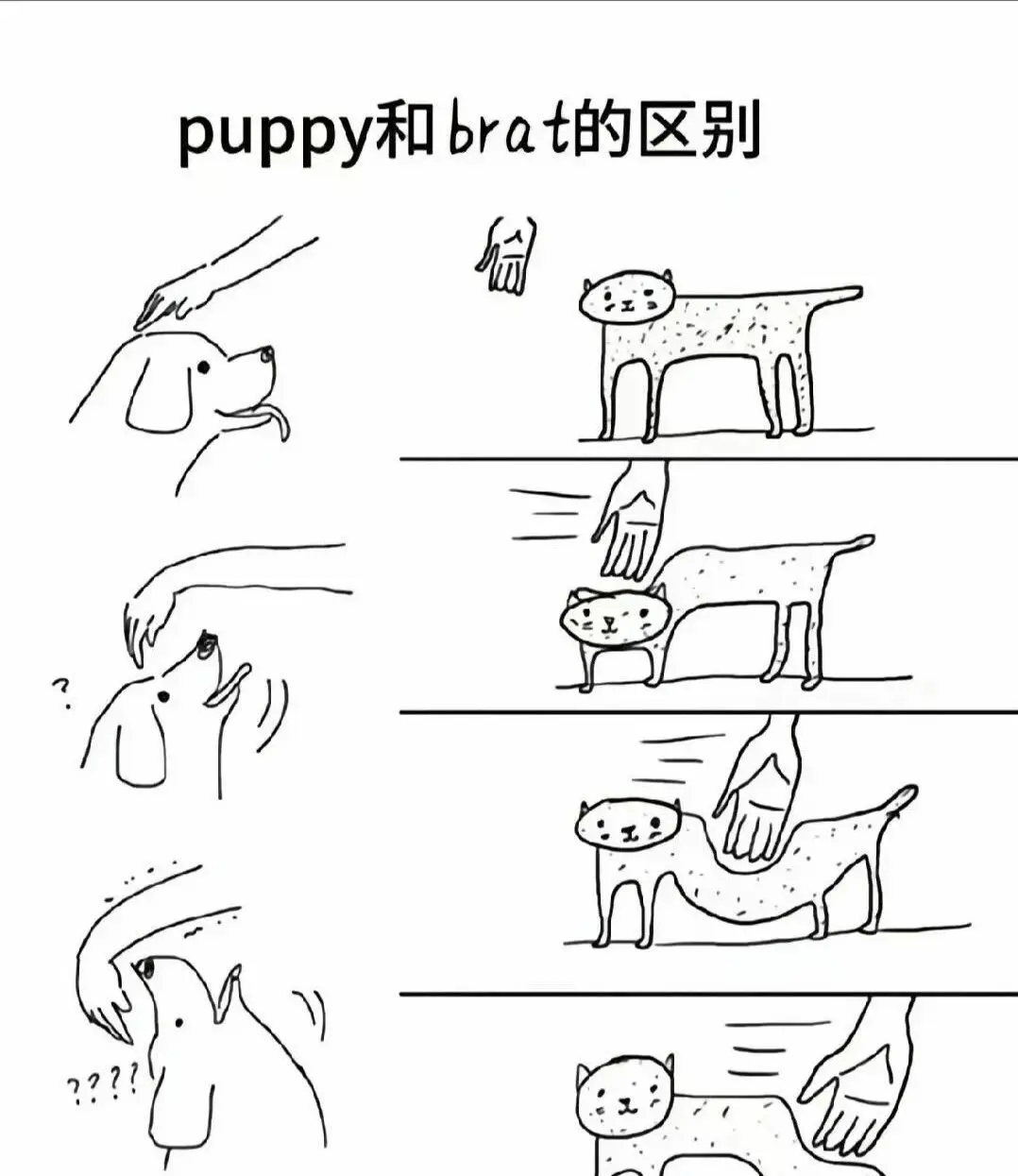西檬之家-BDSM字母圈K8猫系角色扮演指南