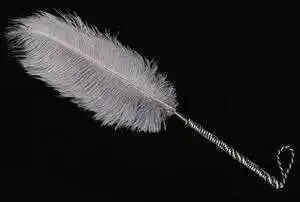 【西檬之家】字母圈新人必读：BDSM基础术语与安全实践指南