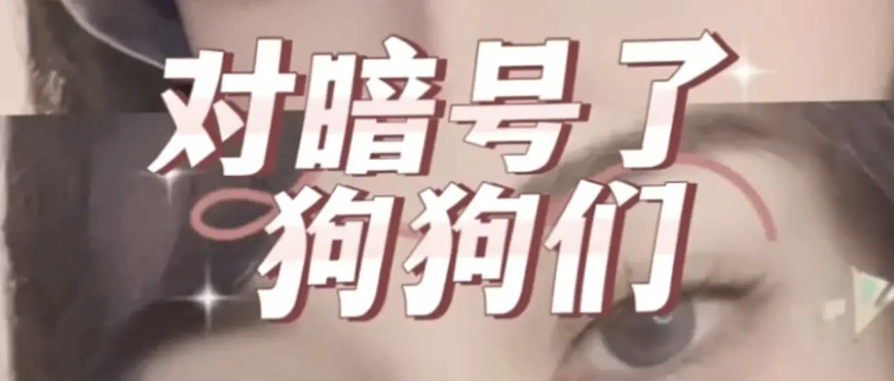 【西檬之家】-字母圈新人入圈指南