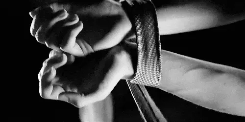 【西檬之家】k9犬系：字母圈新人入圈指南