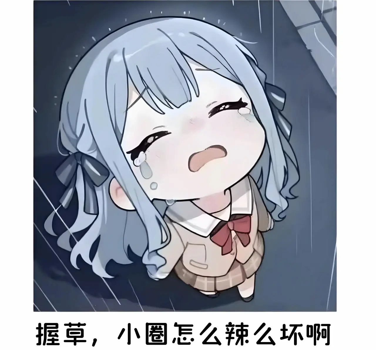 【西檬之家】-字母圈K9是什么？