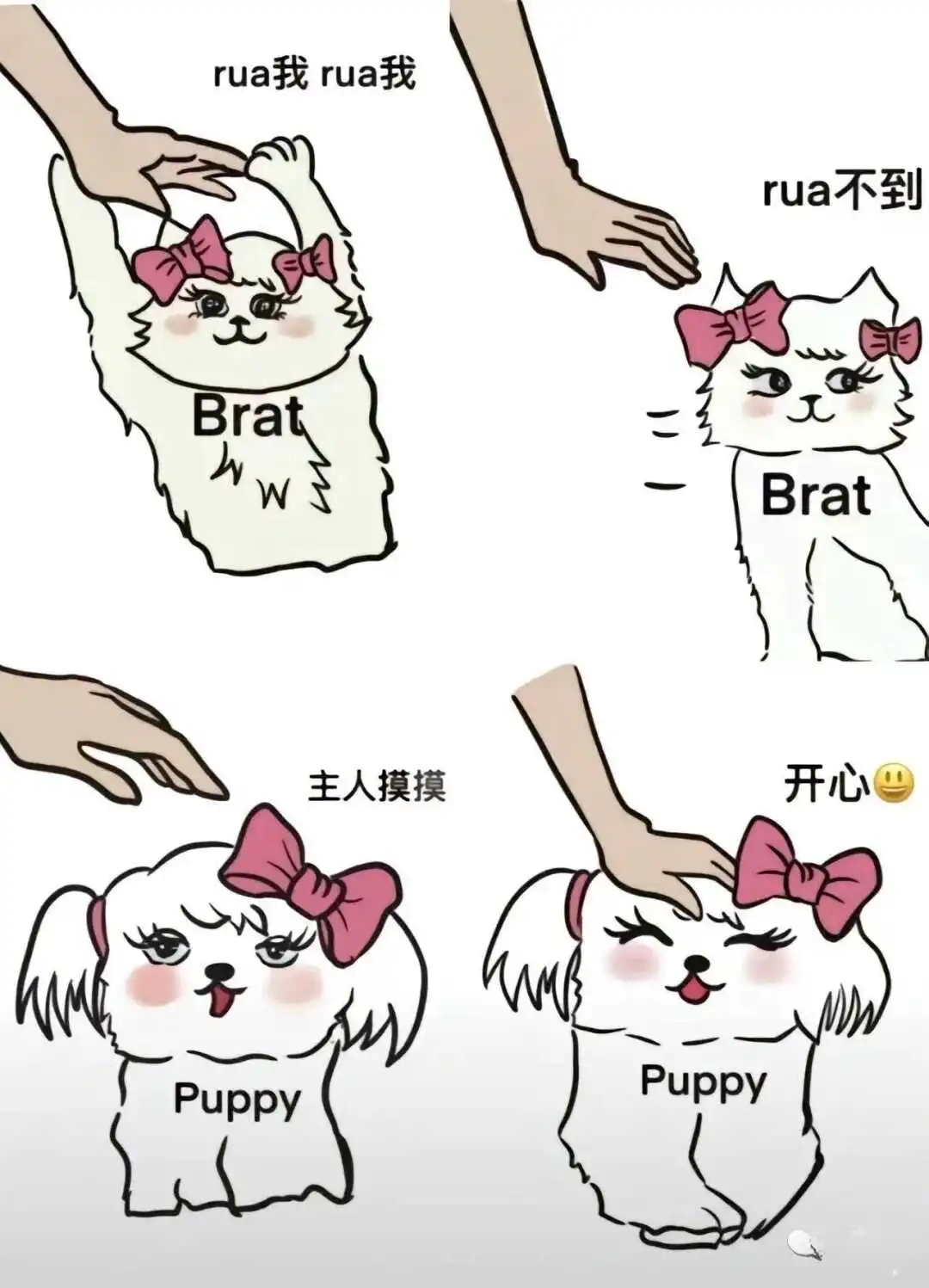 西檬之家-ddlg是什么？你的字母圈属性是什么？