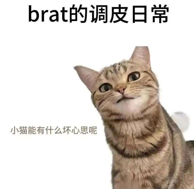 西檬之家-Sub是什么？你的字母圈属性是什么？