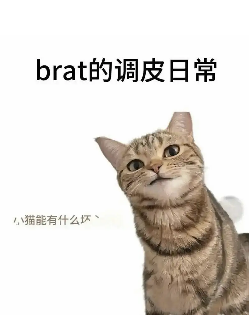 西檬之家-新人入圈：解锁字母圈核心术语与安全实践指南