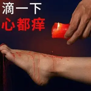 【西檬之家】K8猫系是什么？字母圈新人入圈必读指南